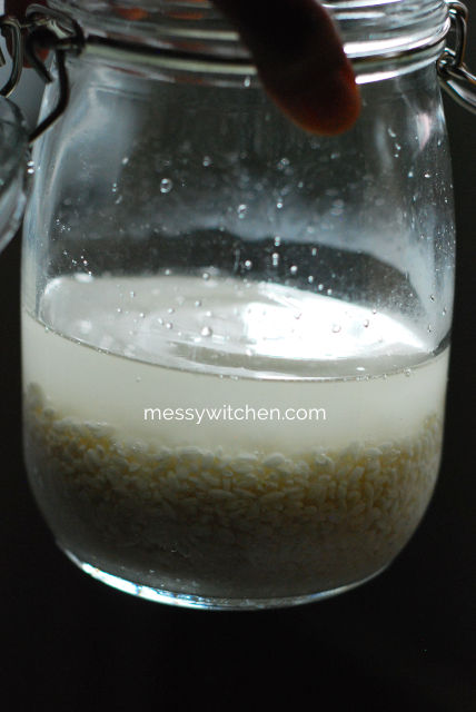 Add Water To Dried Koji Rice & Sea Salt